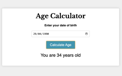 JS WP Plugin #1 – Age Calculator